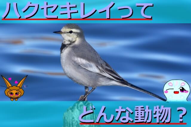 Thumbnail of post image 081